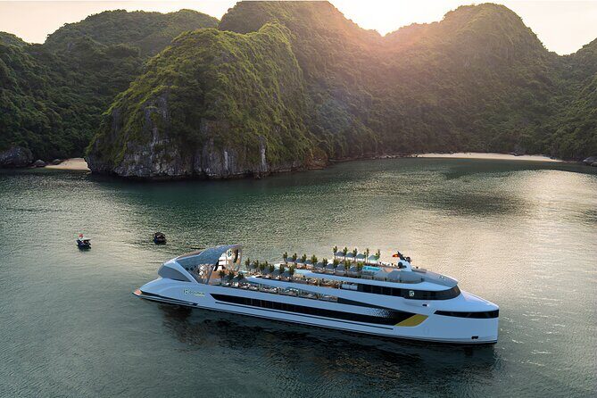 Dolphin Day Cruise: Halong Bays Finest Luxury Escape from Harbor - Key Points