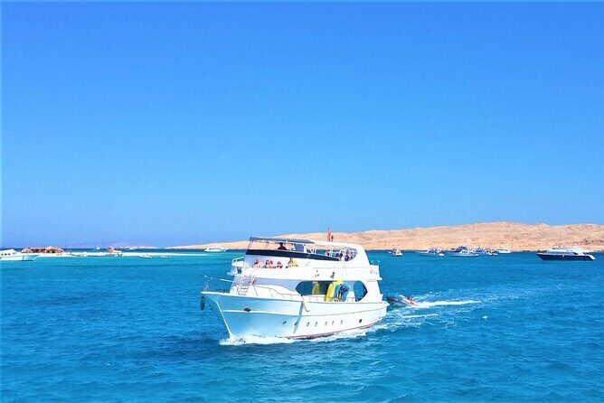 Dolphin Discovery Adventure in Hurghada - Key Points