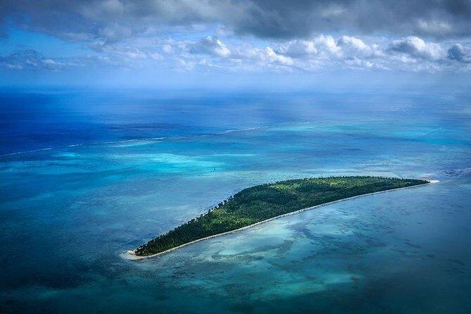 Dolphin Encounters, Ile aux Benitier & Crystal rock: Full-Day (Lunch & Transfer) - Diving Into the Details of the Itinerary