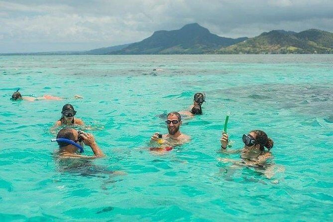 Dolphin Encounters, Ile aux Benitier & Crystal rock: Full-Day (Lunch & Transfer) - Who Is This Tour Best For?