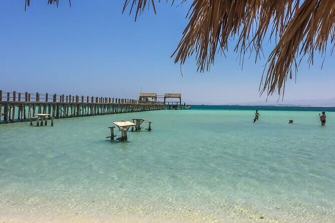 Dolphin House By Private Speedboat With Giftun Island _ Hurghada - Key Points