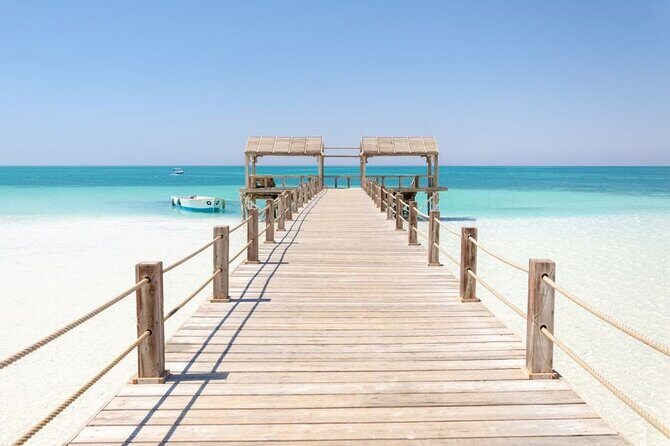 Dolphin House By Private Speedboat With Giftun Island _ Hurghada - What Reviewers Say