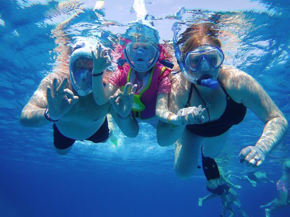 Dolphin House Reef Snorkeling Sea Trip With Transfer - Marsa Alam - The Experience: What to Expect on the Dolphin House Reef Snorkeling Trip