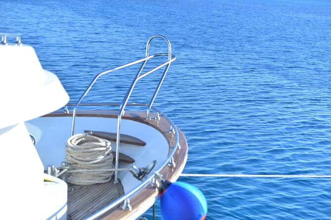 Dolphin House Reef Snorkeling Sea Trip With Transfer - Marsa Alam - Is This Tour Worth It?