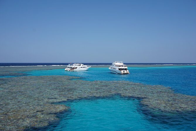 Dolphin House Reef Snorkeling Sea Trip With Transfer - Marsa Alam - Who Should Consider This Tour?