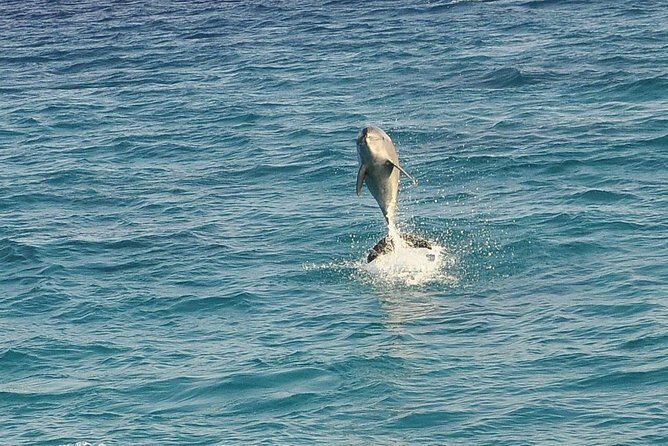 Dolphin House Royal sea Trip Luxury Boat With Transfer - Hurghada - The Itinerary: What to Expect from Start to Finish