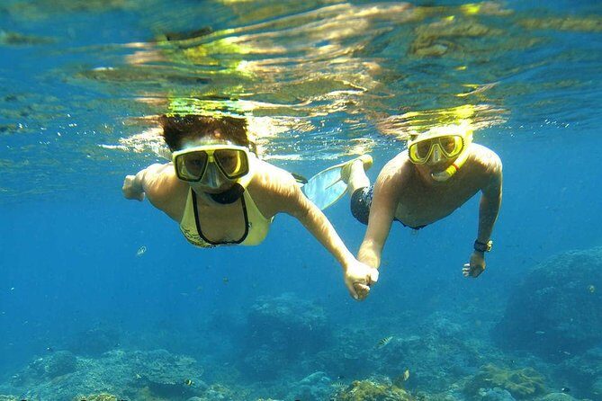 Dolphin House Royal sea Trip Luxury Boat With Transfer - Hurghada - Practical Tips for Making the Most of Your Trip