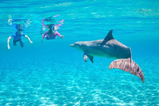 Dolphin House Royal Sea Trip Water Sports W/Transfer - HURGHADA - FAQ