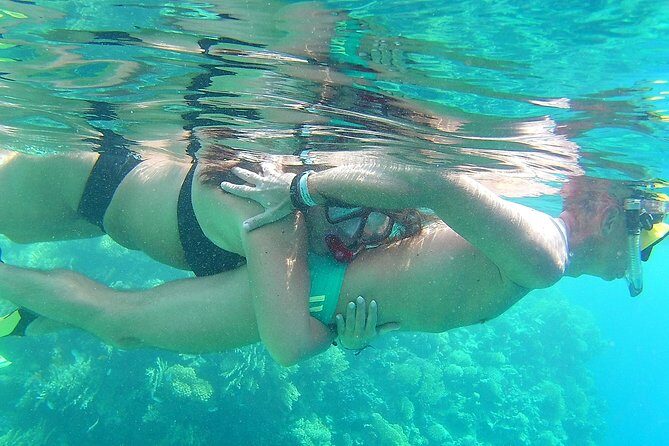 Dolphin House Royal VIP Special Day Snorkeling Sea Trip With Lunch - Hurghada - Final Thoughts