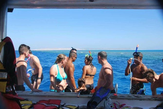 Dolphin House sea trip - Key Points