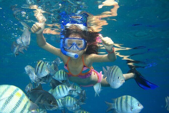 Dolphin House Sea Trip - HURGHADA VIP - Practical Details and What You Need to Know
