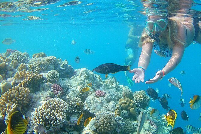 Dolphin House Sea Trip with Water Sport and Lunch - FAQs