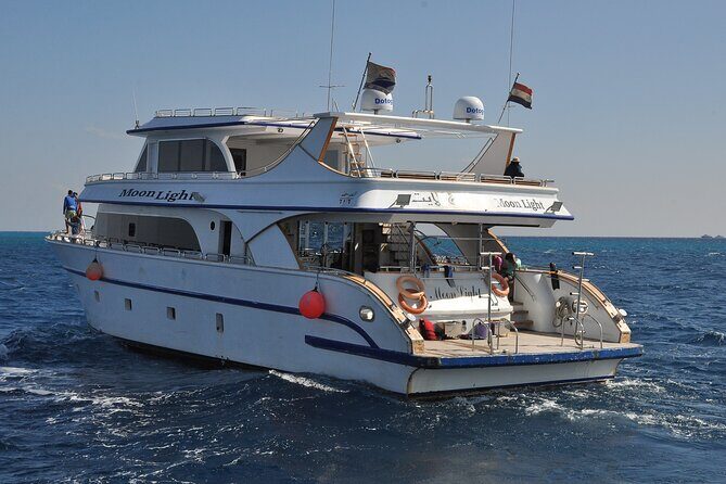 Dolphin House Snorkel & Water Fun Activity with Lunch - Hurghada - Final Thoughts