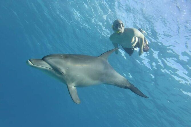Dolphin House Snorkeling Fun in Hurghada - Introduction to the Hurghada Snorkeling Tour
