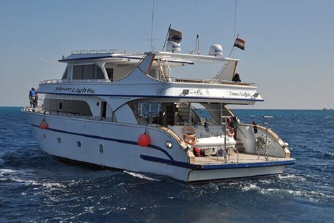 Dolphin House Snorkeling Sea Trip, Water Sport , Lunch - Hurghada - The Real Deal: Pros and Cons