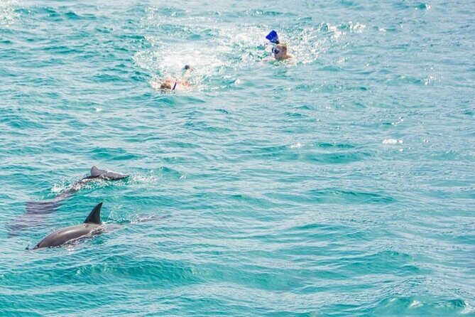 Dolphin House Snorkeling Trip + Water Sport With Lunch - Hurghada - FAQ