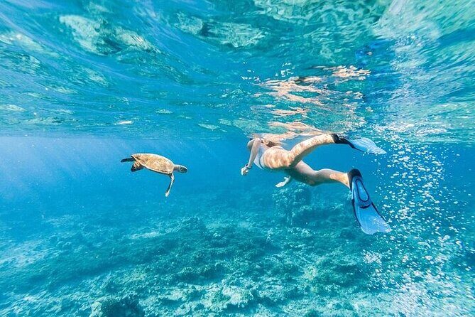 Dolphin House Snorkeling Trip & Water Sport With Lunch - Hurghada - Final Thoughts