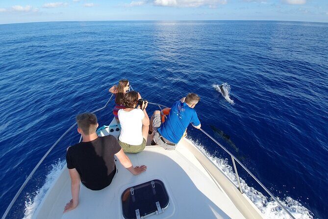Dolphin house Snorkeling trip with Banan & Sofa Boat in Hurghada - The Slight Caveats