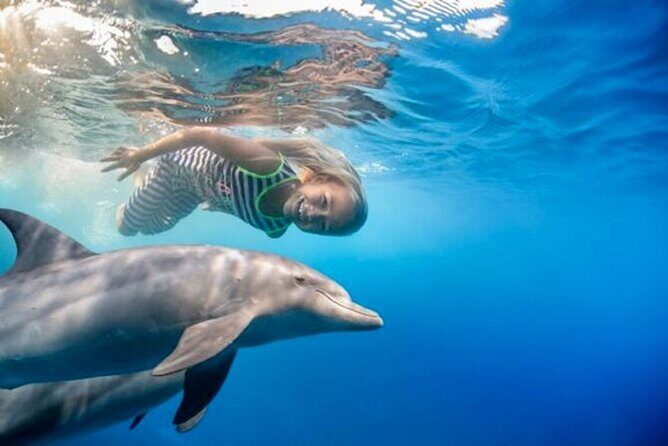 Dolphin House with Snorkeling in Hurghada - Practical Tips for Your Trip