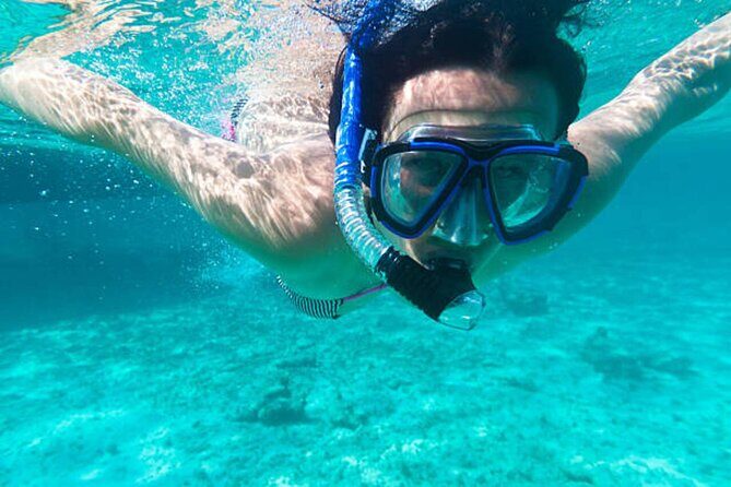Dolphin House With Snorkeling & Lunch -Hurghada - An In-Depth Look at the Experience