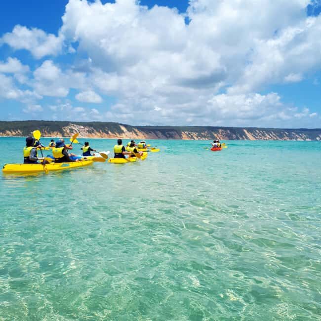 Dolphin Kayak Tour & Beach 4X4 National Park Tour (Private) - Final Words: Is This Tour Worth It?