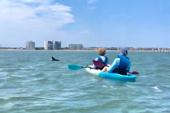 dolphin-kayak-tour-in-virginia-beach-must-know-how-to-swim