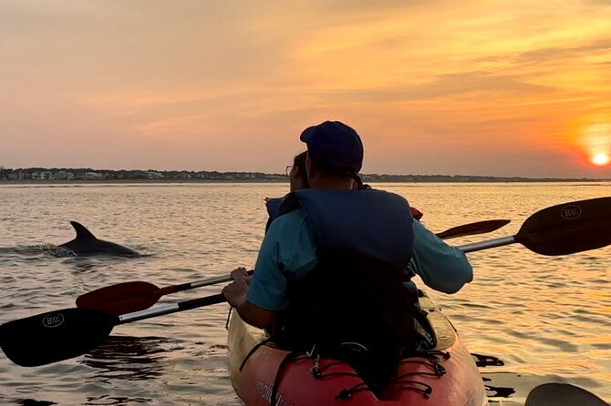 dolphin-kayak-tour-in-virginia-beach-must-know-how-to-swim