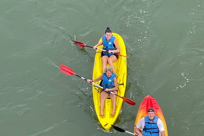 dolphin-kayak-tour-in-virginia-beach-must-know-how-to-swim