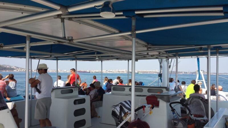 dolphin-lovers-full-day-tour