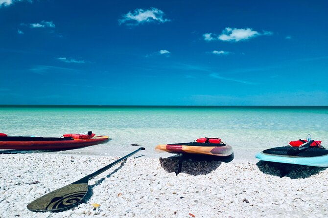dolphin-manatee-and-sea-turtle-adventure-tour