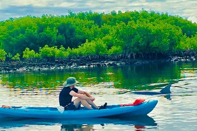 dolphin-manatee-and-sea-turtle-kayak-adventure-2