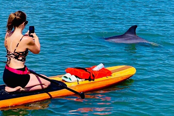 dolphin-manatee-and-sea-turtle-kayak-adventure