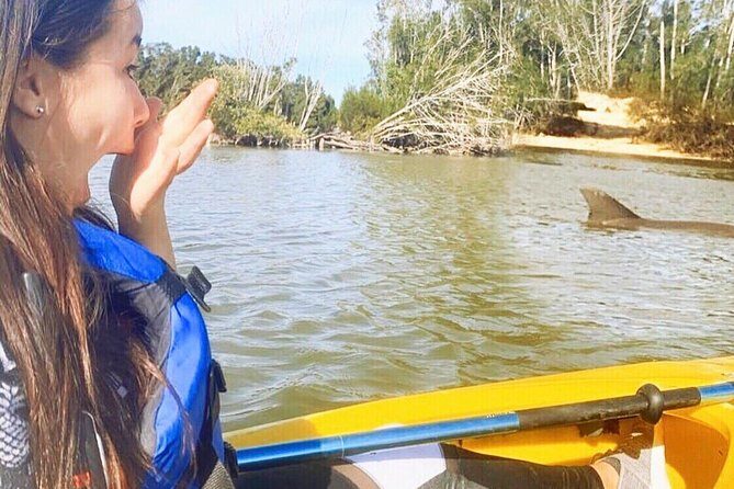 Dolphin & Manatee Kayaking Tour in Orlando Area - An In-depth Look at the Dolphin & Manatee Kayaking Experience