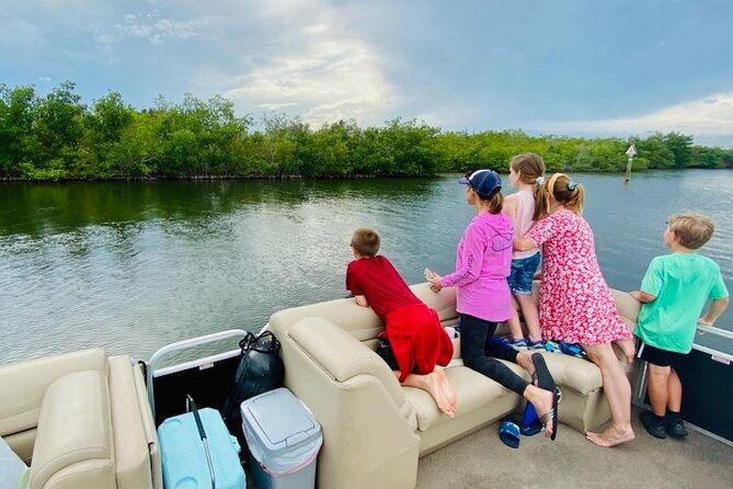 dolphin-manatee-pontoon-boat-tour-with-local-expert