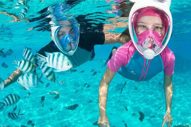 dolphin-mini-cruise-at-playa-del-carmen