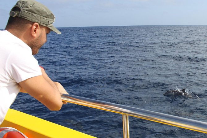 dolphin-mini-cruise-at-playa-del-carmen