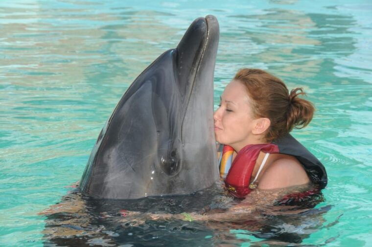 dolphin-park-entry-with-live-show-and-pickup