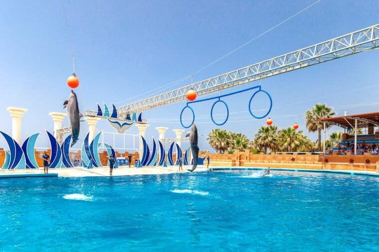 dolphin-park-entry-with-live-show-and-pickup