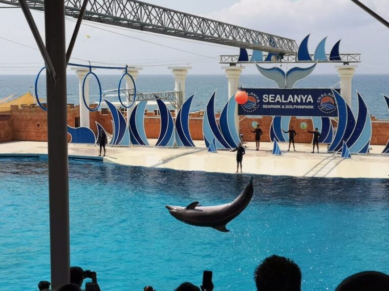 dolphin-park-entry-with-live-show-and-pickup