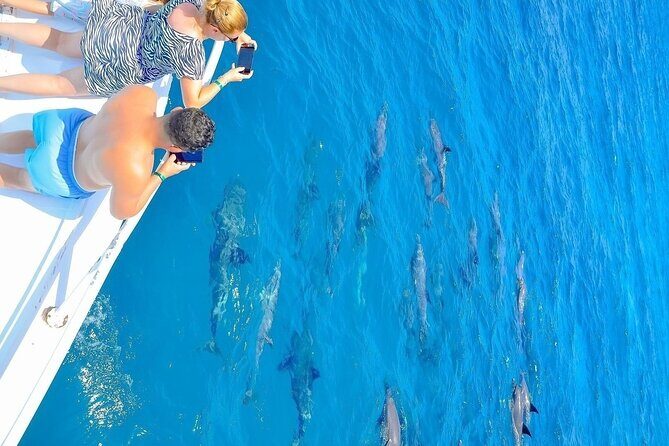 Dolphin Reef Trip, Full-Day Boat Trip With Snorkeling and Lunch. - Key Points