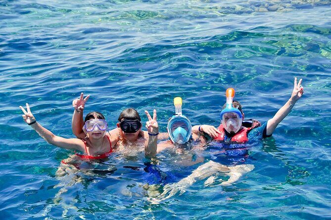Dolphin Reef Trip, Full-Day Boat Trip With Snorkeling and Lunch. - Who Is This Tour Best For?