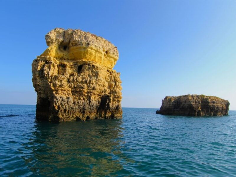 dolphin-safari-and-cave-tour-in-vilamoura
