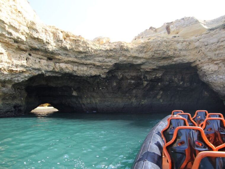 dolphin-safari-and-cave-tour-in-vilamoura