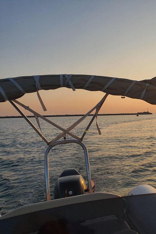 dolphin-safari-every-evening