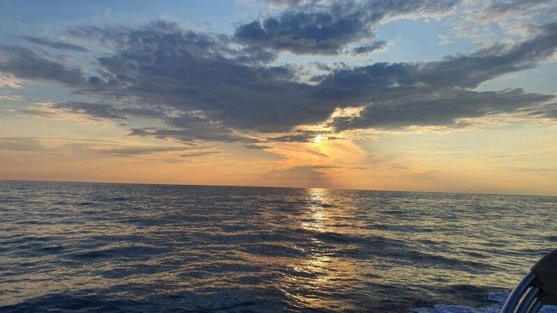 dolphin-safari-every-evening