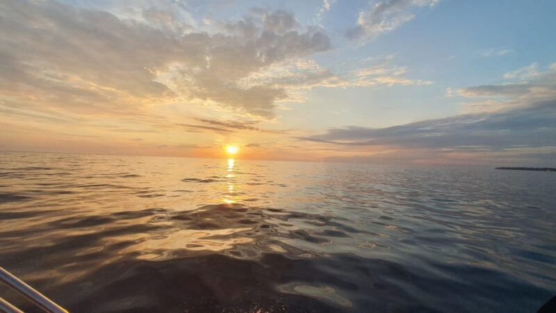 dolphin-safari-every-evening