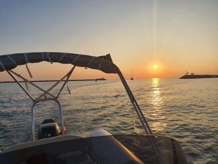 dolphin-safari-every-evening