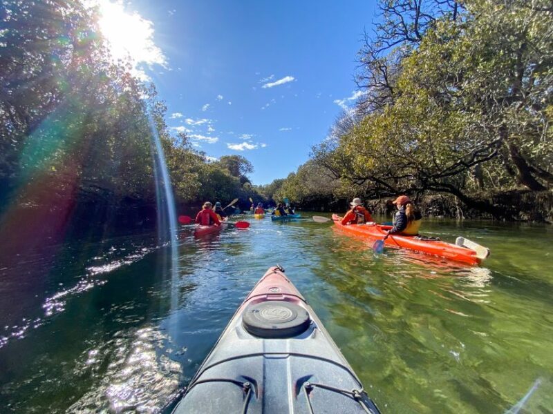 Dolphin Sanctuary and Ships Graveyard Kayak Tour - Sunken Ships and Maritime Heritage