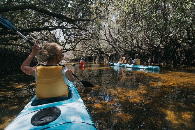 Dolphin Sanctuary Kayak Tour Adelaide - Exploring the Adelaide Dolphin Sanctuary: What to Expect