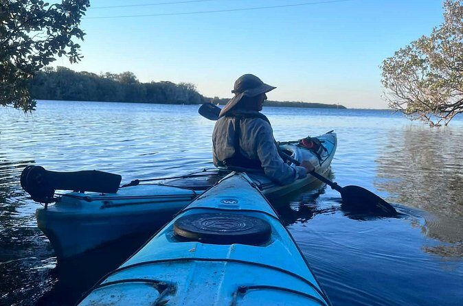 Dolphin Sanctuary Kayak Tours Twilight Mangrove Kayak - Authentic Insights from Reviewers